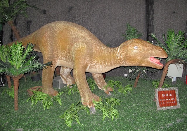 夜狼直播截图预览4