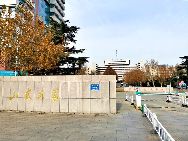 日批直播