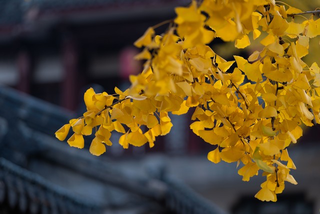 精准分享库