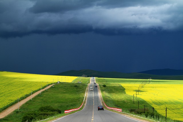 媚狐直播截图预览2