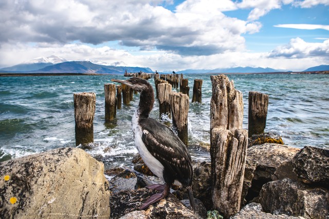 豆趣直播截图预览0