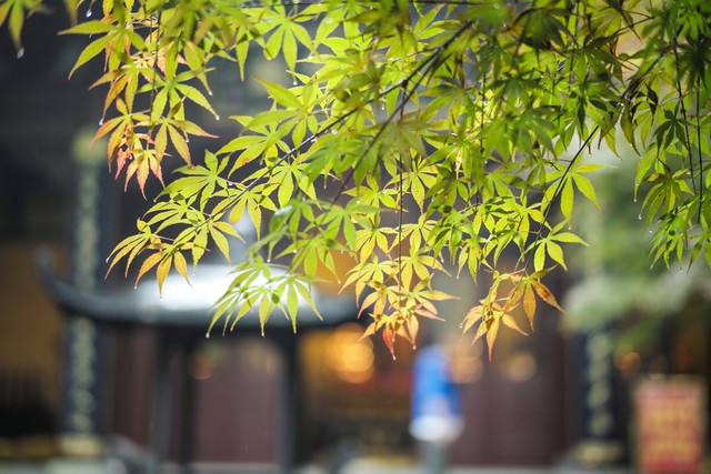 先进驱动平台