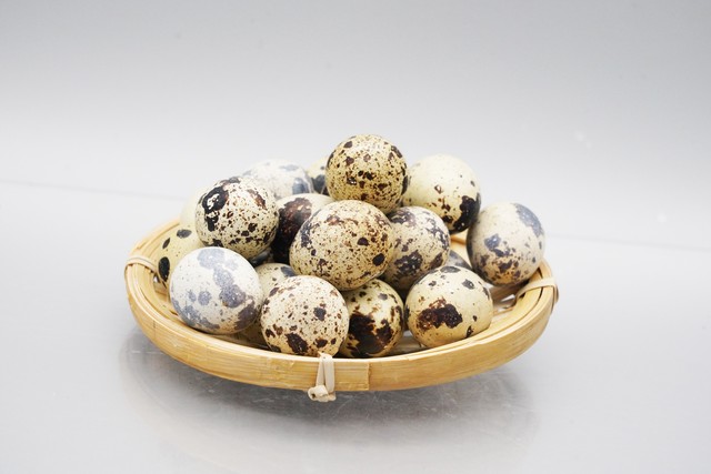 魅影平台怎么直播