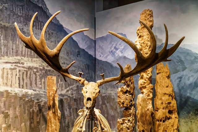 秀兜直播截图预览4