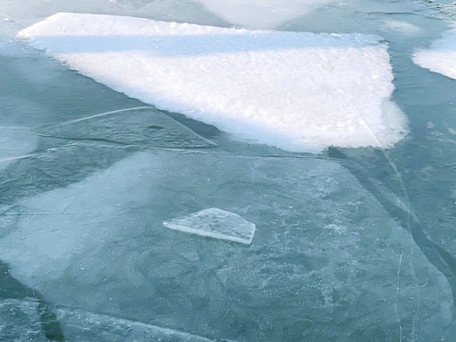 简易管理平台