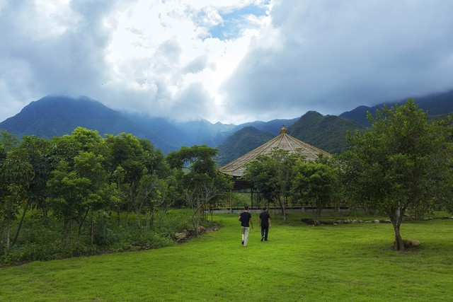 音符直播截图预览0