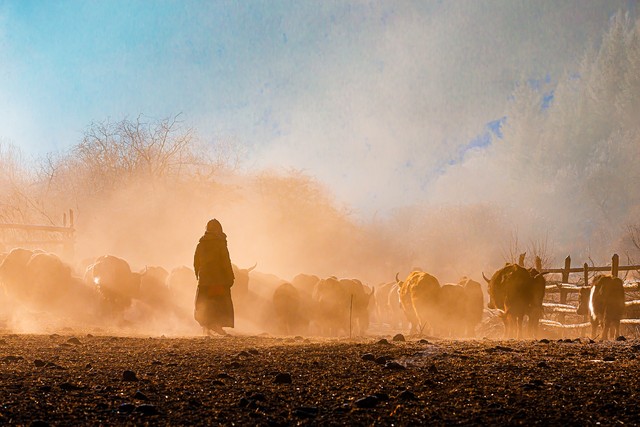 色直播网截图预览4
