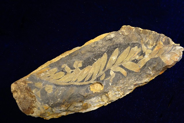 精准备份解决方案