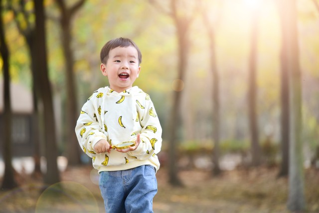 专业保护站