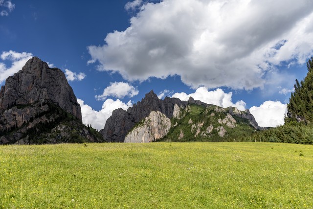 魅影平台怎么直播