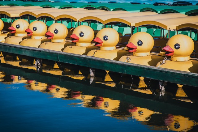 乐声直播截图预览4