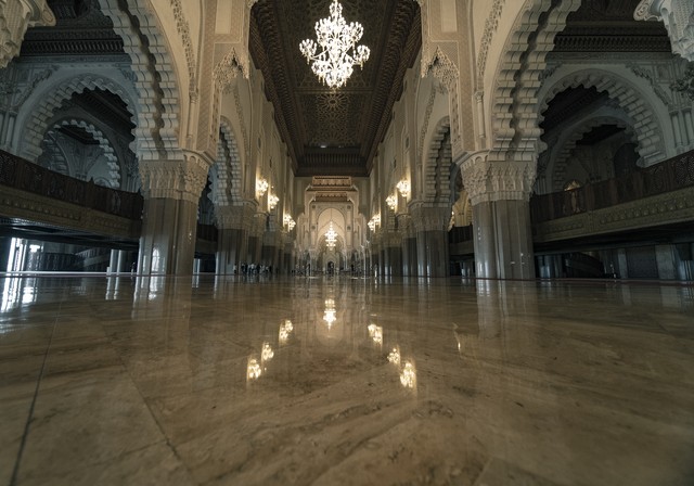 丁童直播截图预览1