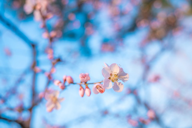 迅捷办公解决方案