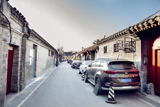 麦网直播截图2