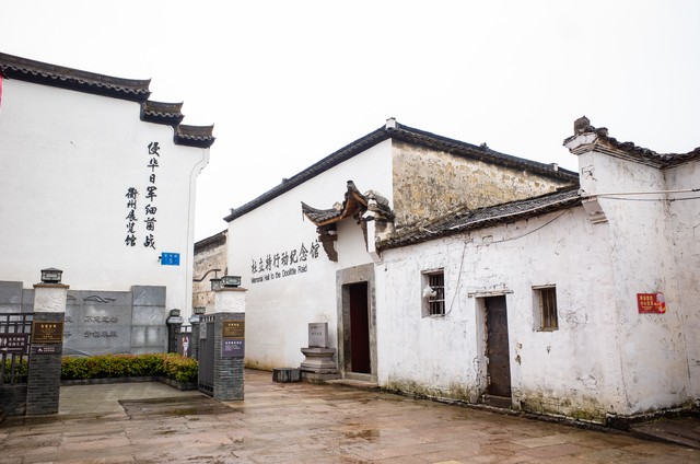 跑马直播截图0
