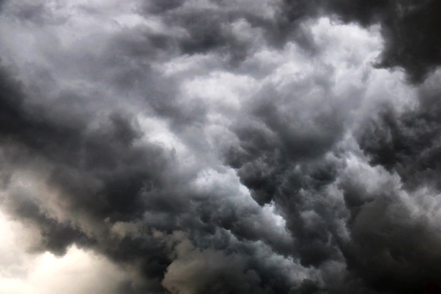 隔壁直播截图预览2