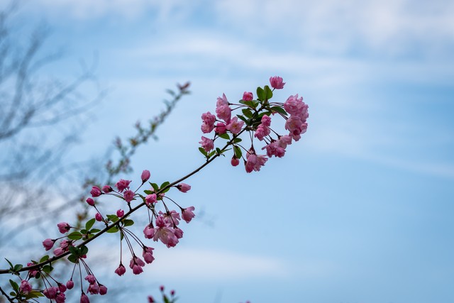 琪琪直播截图预览3