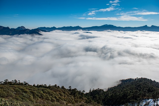 花辨直播截图预览2