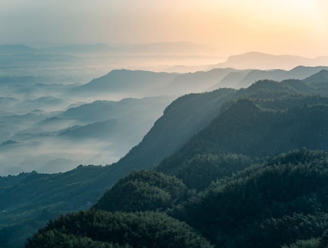 心和直播截图预览0