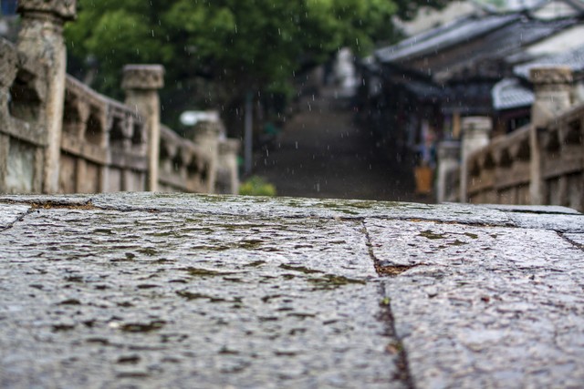 红海直播截图1