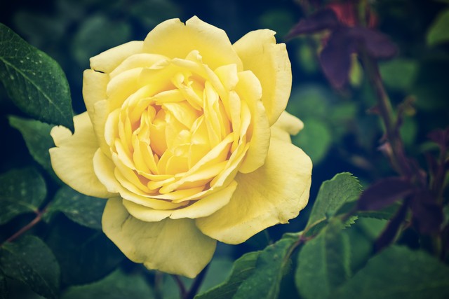 魅影平台怎么直播截图3