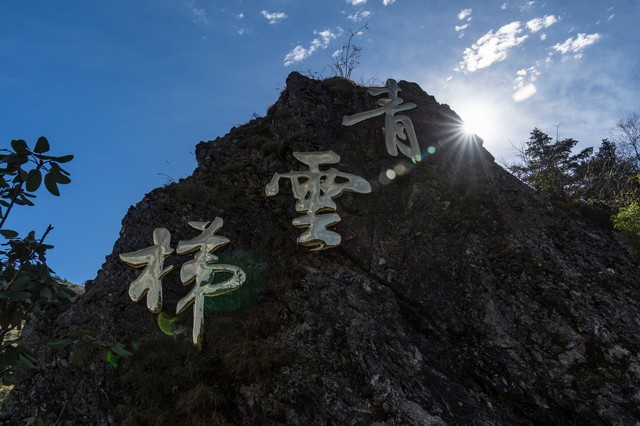 魅影直播app下载