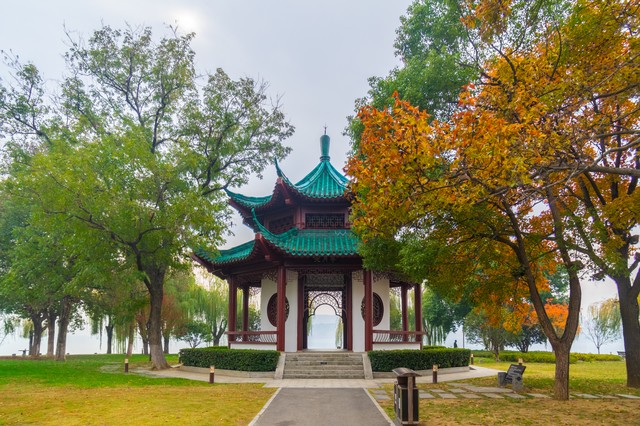 花遇直播截图2