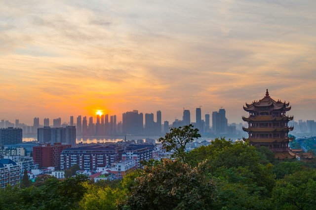 密鹿直播截图4