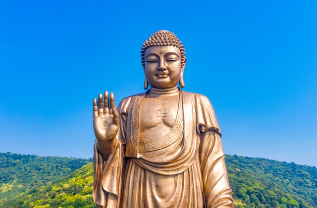 曲影直播