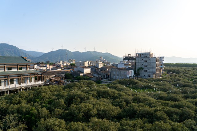 超级编辑助手