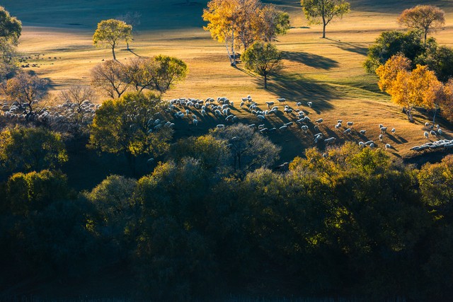 茶电直播截图预览2