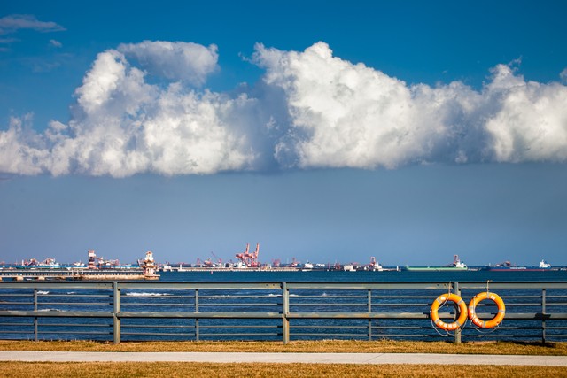 央播直播截图预览1