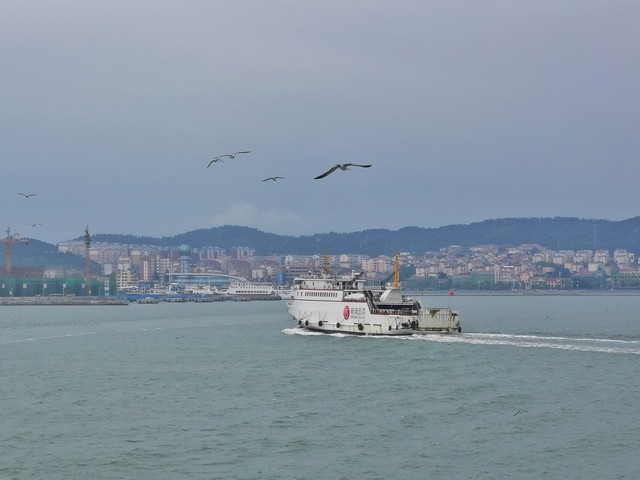 巴黎直播截图预览4