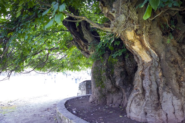 海淘直播截图预览4