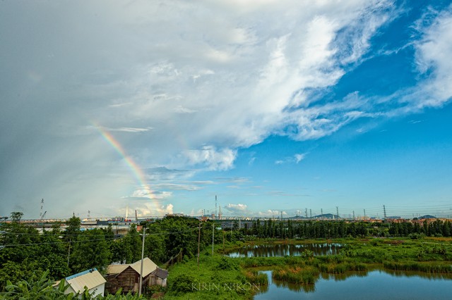 井空直播截图预览4