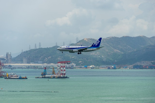 巡茶直播截图2