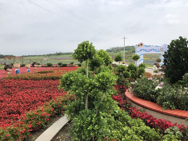 音符直播截图预览3